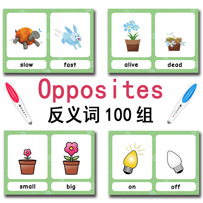 100 Cartões de Vocabulário em  - Kids Education Toys avaliação e preço