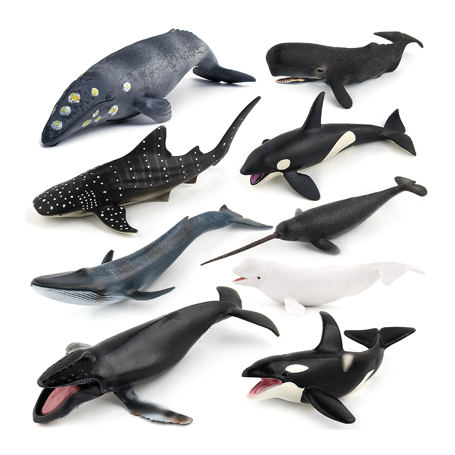 Modelos Realistas de Animais M - Kids Education Things avaliação e preço