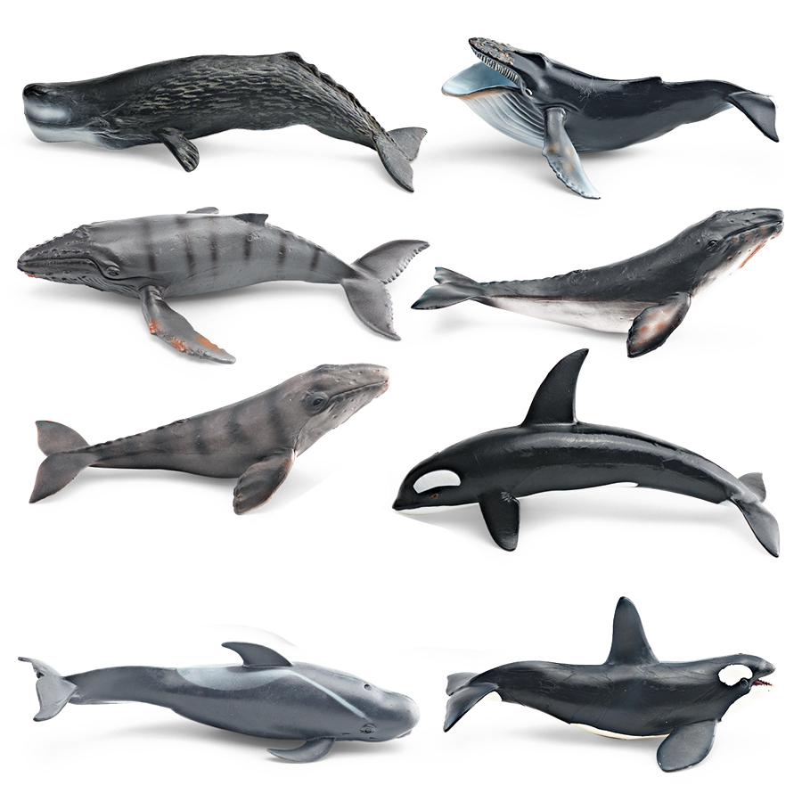 Modelos Realistas de Animais M - Kids Education Things avaliação e preço