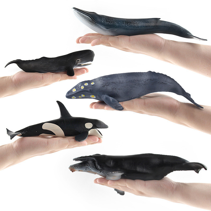 Modelos Realistas de Animais M - Kids Education Things avaliação e preço