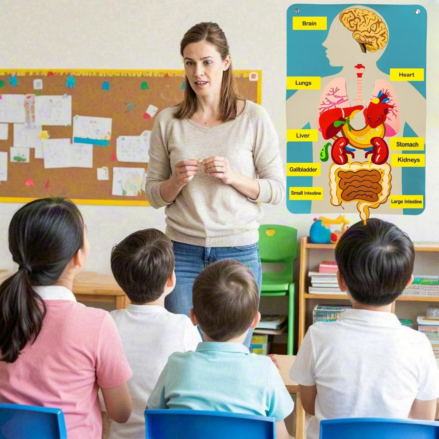 Peças do corpo humano, placa d - Kids Education Story avaliação e preço