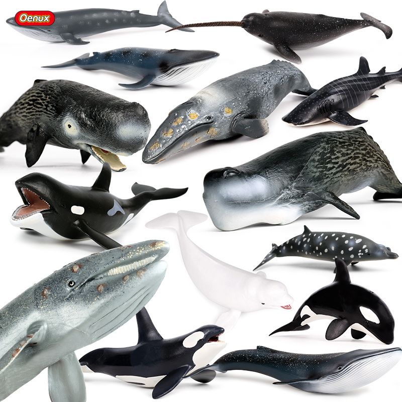 Oenux oceano animal selvagem m - Kids Without Education avaliação e preço